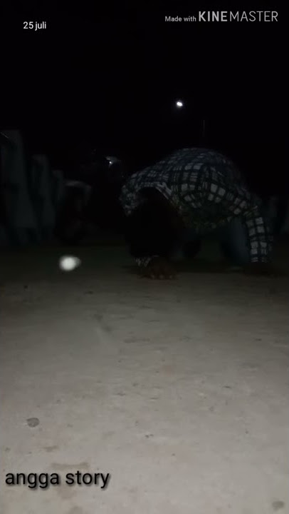 Gusti kulo lelah