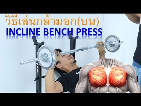 พื้นฐานการเล่นเวท : วิธีฝึกกล้ามหน้าอก (อกบน) : Incline Bench Press