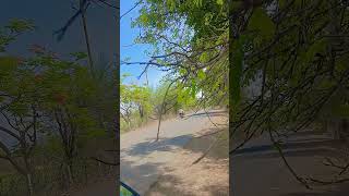 #nature scene#short video