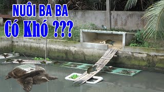 NUÔI BA BA CÓ KHÓ KHÔNG ? | TRANG TRẠI KHÁNH NGUYÊN -TẬP 3