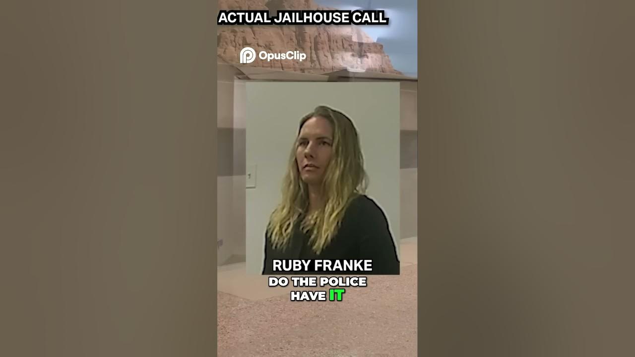 The SHOCKING Arrest of Mom Vlogger Ruby Franke Police Footage Exposes