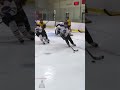 so close - Hey Stripes! The Micd Up GoPro Hockey Refcam