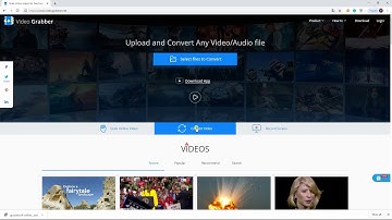 How to Crop Video Online Free with Video Grabber
