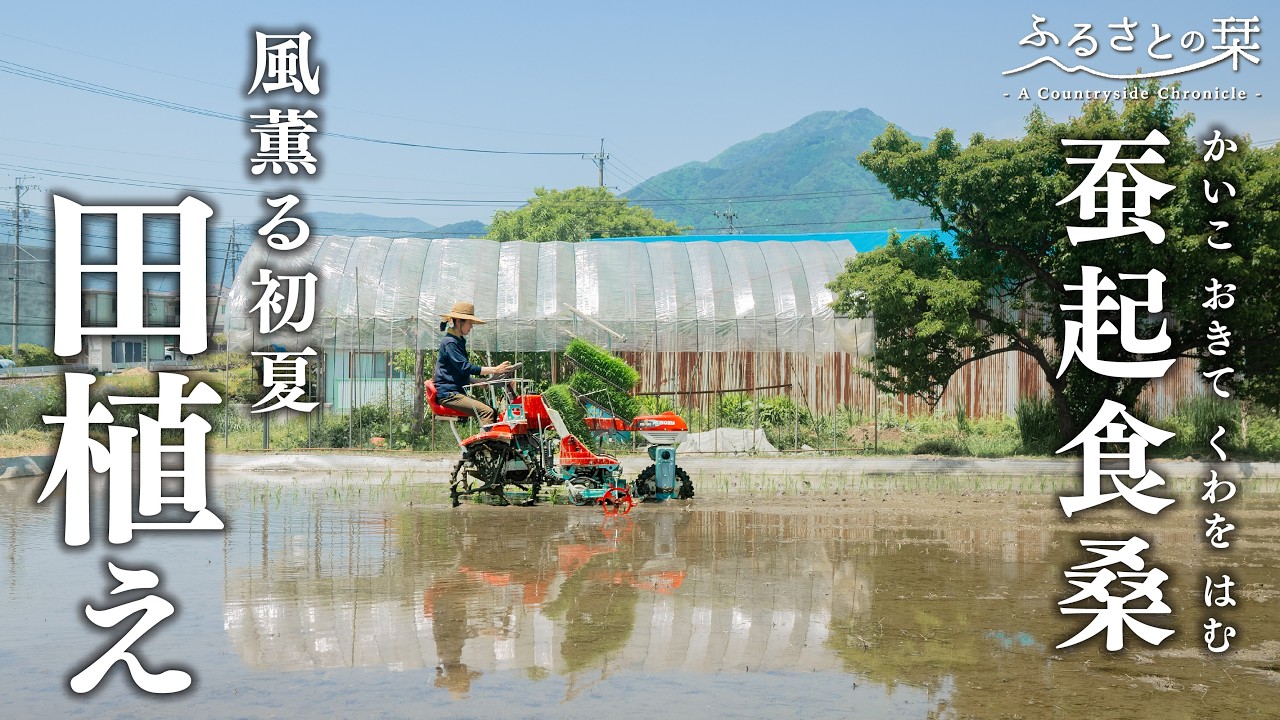 A charming old Japanese farming village. A family planting rice