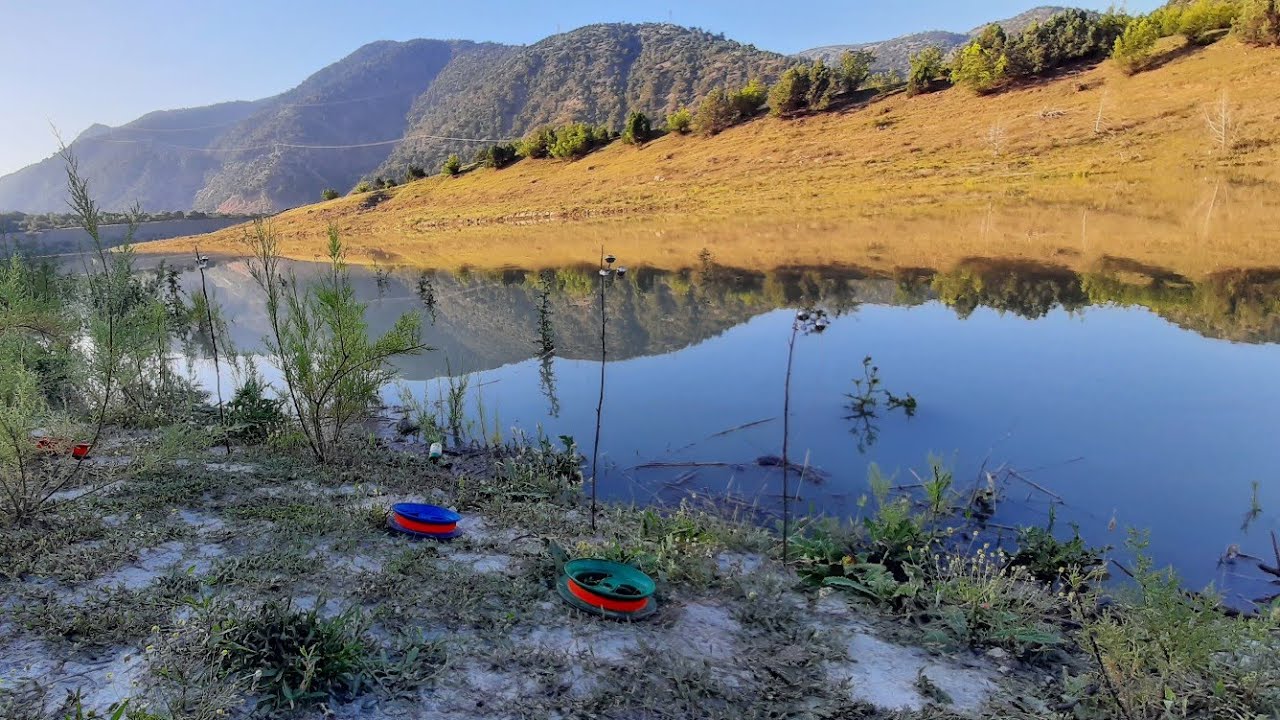 Gizli Merada Misafirlerimle Birlikte Sazan Avı.Çok Balık Tuttuk Çookk!