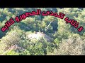ذئاب تتحدى المصور و كلابه في غابات قشقال فرندة 
