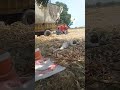 Hard Working & Natural Bedding