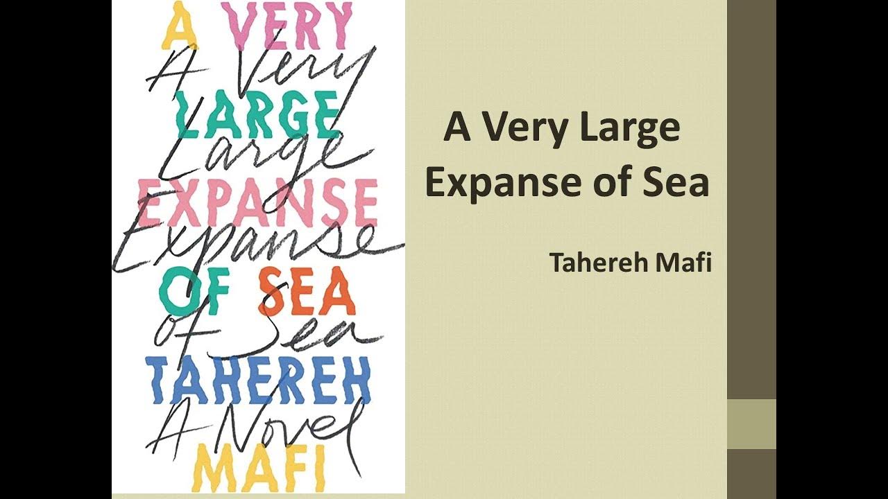 Tahereh Mafi's "A Very Large Expanse of Sea" (Summary) YouTube