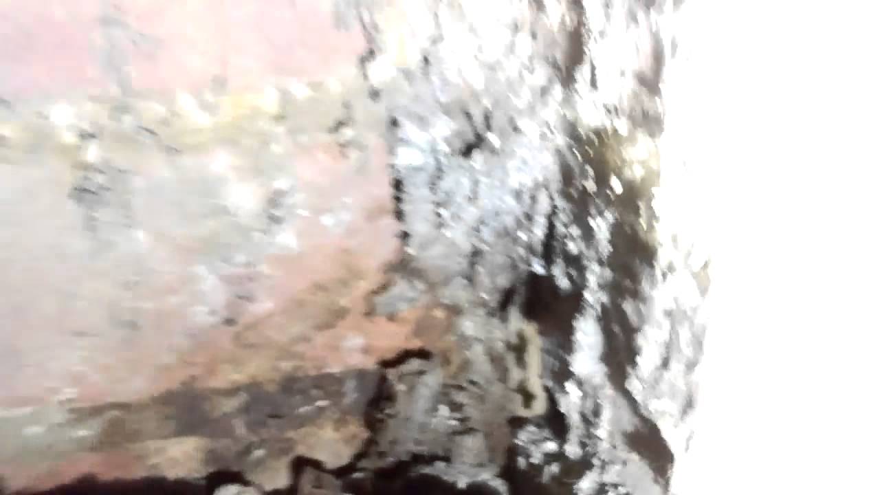 protech pest control control specialists termite inspection by professional from protech pest control youtube protech pest control control specialists termite inspection by professional from protech pest control youtube