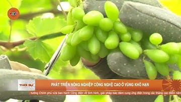 PHÁT TRIỂN NÔNG NGHIỆP CÔNG NGHỆ CAO Ở VÙNG KHÔ HẠN | VTV5