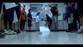 Science Rocks-February 2018-Second Grade Science Labs
