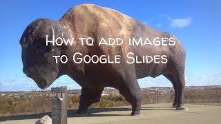How to Add Images to Google Slides