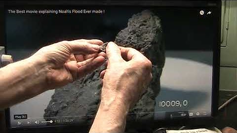 Mudfossil Microscopic Autopsy