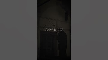 تلاوة خاشعة جميلة بصوت ماهر المعيقلي ارح سمعك ♡ #ماهر_المعيقلي #اكسبلور_فولو