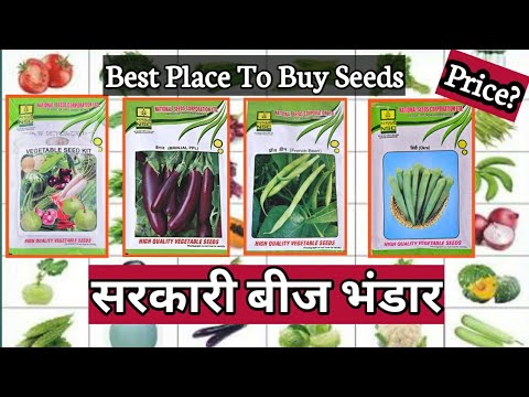 Buy  VEGETABLE SEEDS With 99.9% Germination Rate  from GOVERNMENT OF