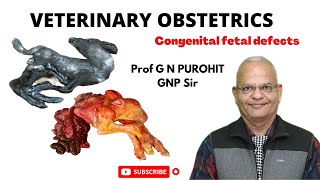 Congenital Fetal defects I Veterinary Obstetrics I VGO I GNP Sir I Monsters I Schistosoma