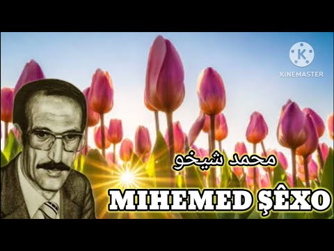 محمد شيخو اغاني محمد شيخو  