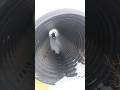 S4067 CTH-A, Baraboo, WI - Agent Walkthrough Video