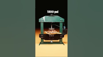 Can a Turtle Shell Stop a Bullet?