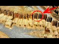 12 Most Ancient Technology And Mysterious Artifacts Finds Scientists Still Can't Explain Mp3 Song