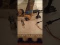 каменная батарейка спустя 105 дней + блочная каменная батарейка спустя 35 дней