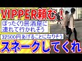 【2ch面白いスレ】マッチングアプリの女と会うんだが、怖いからスネークしてくれ【ゆっくり解説】