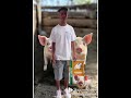 https://s.shopee.com.br/1qVE6rXuqB #ração#nutrientes#nutriente#