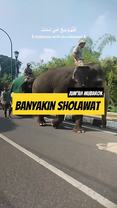 Jumah Mubarok Banyakin Baca Sholawat Bareng Yuk #shorts