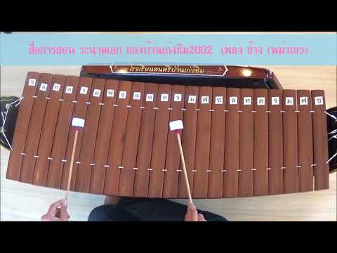 สื่อการสอน ระนาดเอก เพลง ช้าง (พม่าเขว) ของบ้านเก่งขิม 2002
