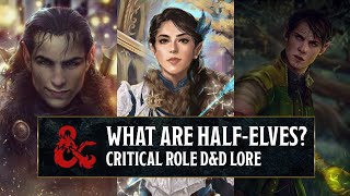 What are Half Elves in D&D | Critical Role Exandria Lore