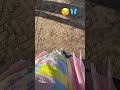 #punjabimusic