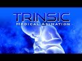 Trinsic animation 30sec spot longer end