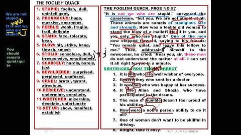 THE FOOLISH QUACK  LECTURE NO 9.3. BY PROFESSOR LIAQAT ALI MOHSIN