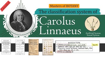 Carolus Linnaeus Classification System (Artificial and Sexual Classification System) | Detailed
