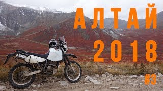 Алтай 2018. Часть 3. Мотопутешествие на Suzuki Djebel 250