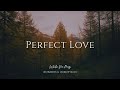 Perfect Love Instrumental Worship Music While You Pray
