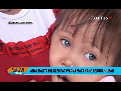 Video: Bisakah bayi bermata biru menjadi coklat?