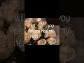 roses by xprils on spotify  #lyrics #bunii #song #music #jaydes #audio #vent #overtonight