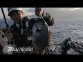 釣武者 乗っ込みの石鯛!シロモッチ・安藤幸志郎 武者泊の磯に挑戦!