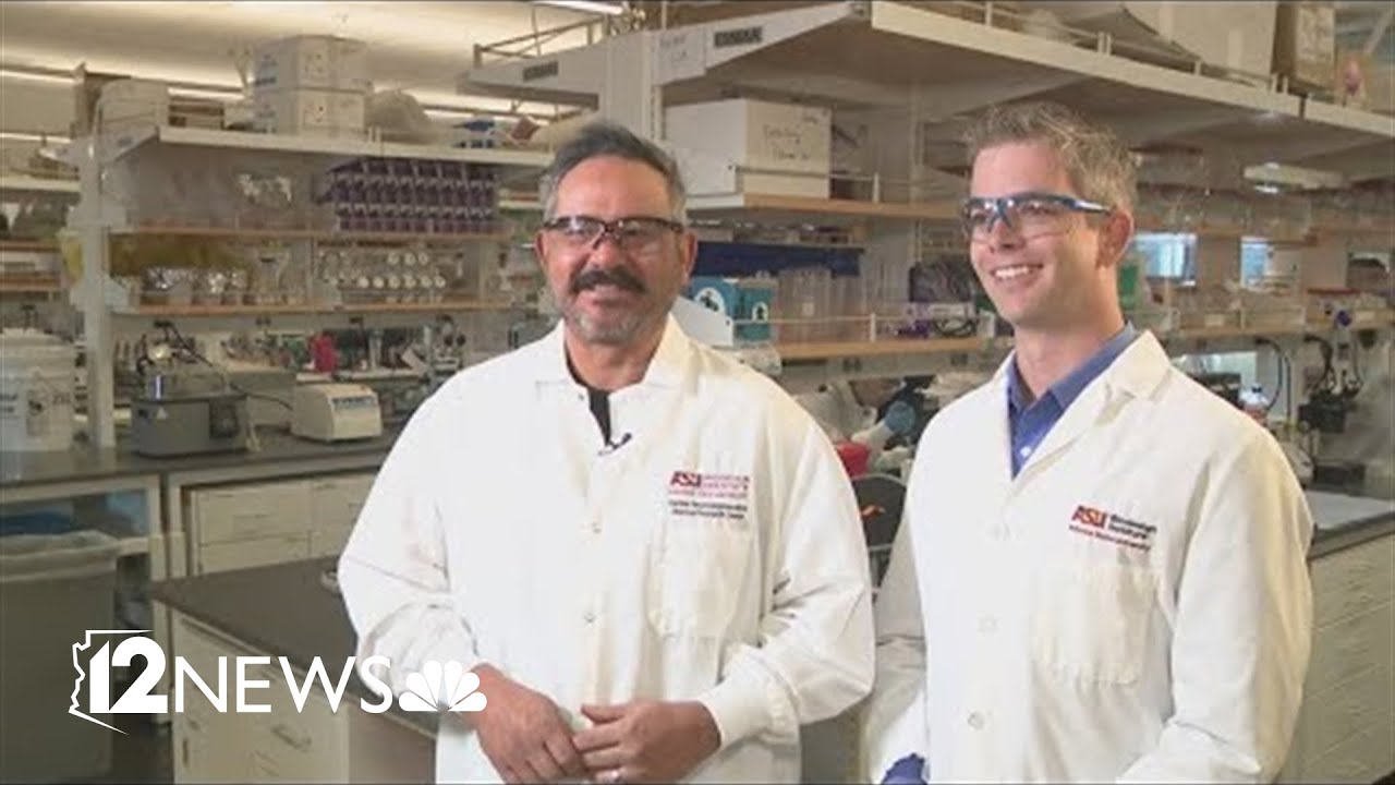 ASU study finds virus linked to Alzheimer's