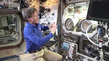 SpeedyTime 4 – Microgravity Science Glovebox
