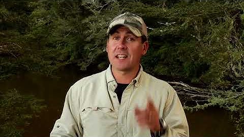 How to Cast a Tight Loop. Fly Casting. Essential Five: Straight Line Path of the Rod Tip