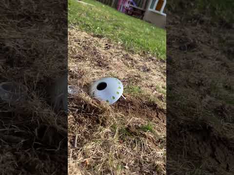 Backyard Crash Landing