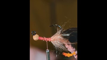 Best Fly for Black Rockfish off the Jetty in 60 seconds! #flytying #flyfishing #spawnflyfish #shorts