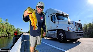 SOUTH FLORIDA FISHING, Where & how to catch PEACOCK BASS…. Miami, Fort Lauderdale, Everglades