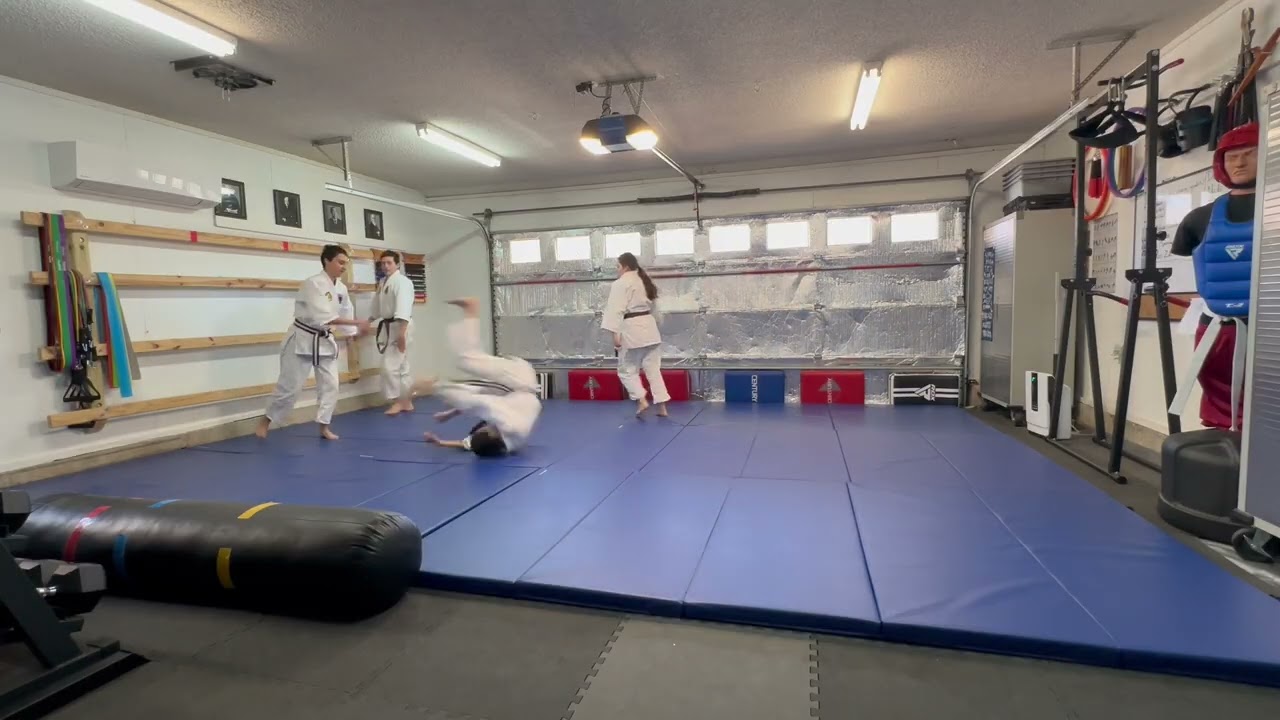 Aikido - Warmup #01 - Seishin Budokan