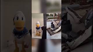 Donald Ducc Is Very Mad