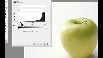Levels and Curves Adjustments in Photoshop