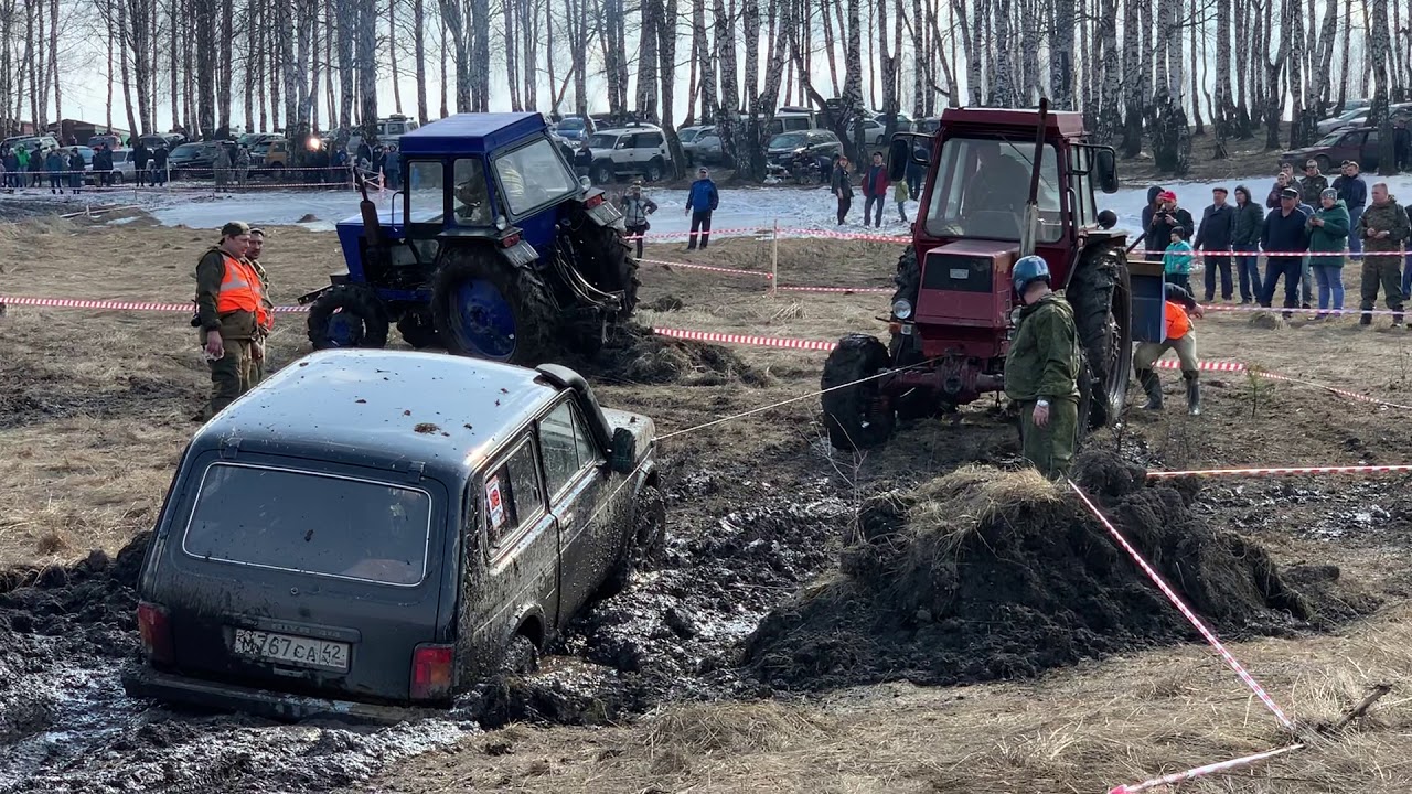 Год рождения нивы