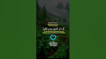 آية الكرسي بصوت خاشع يهزالقلوب - تلاوة تريح القلب💖#قرآن #قران_كريم #حالات_واتساب #جمعه_مباركة #دينيه